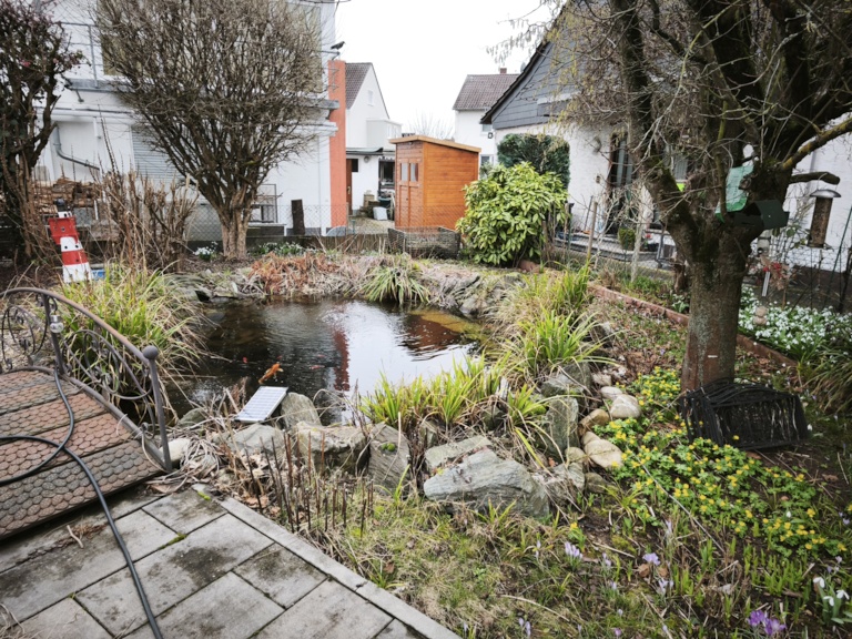  Doppelhaush�lfte Hattersheim